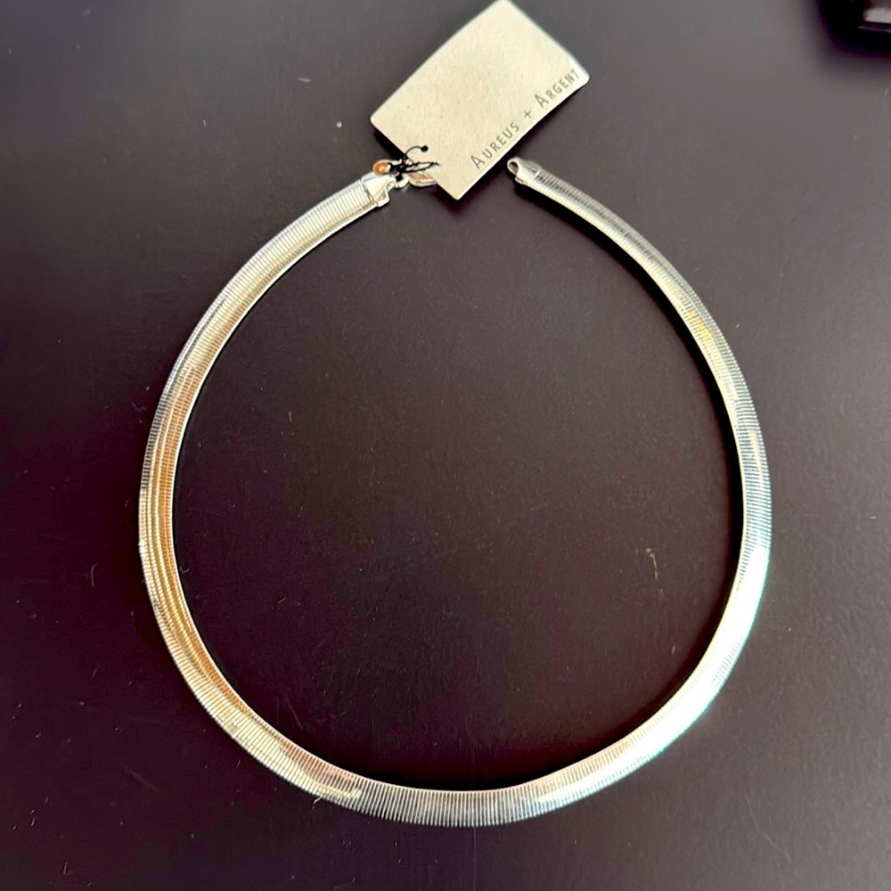 NWT BANANA REPUBLIC RAVENA HERRINGBONE SNAKE CHAIN | AUREUS + ARGENT